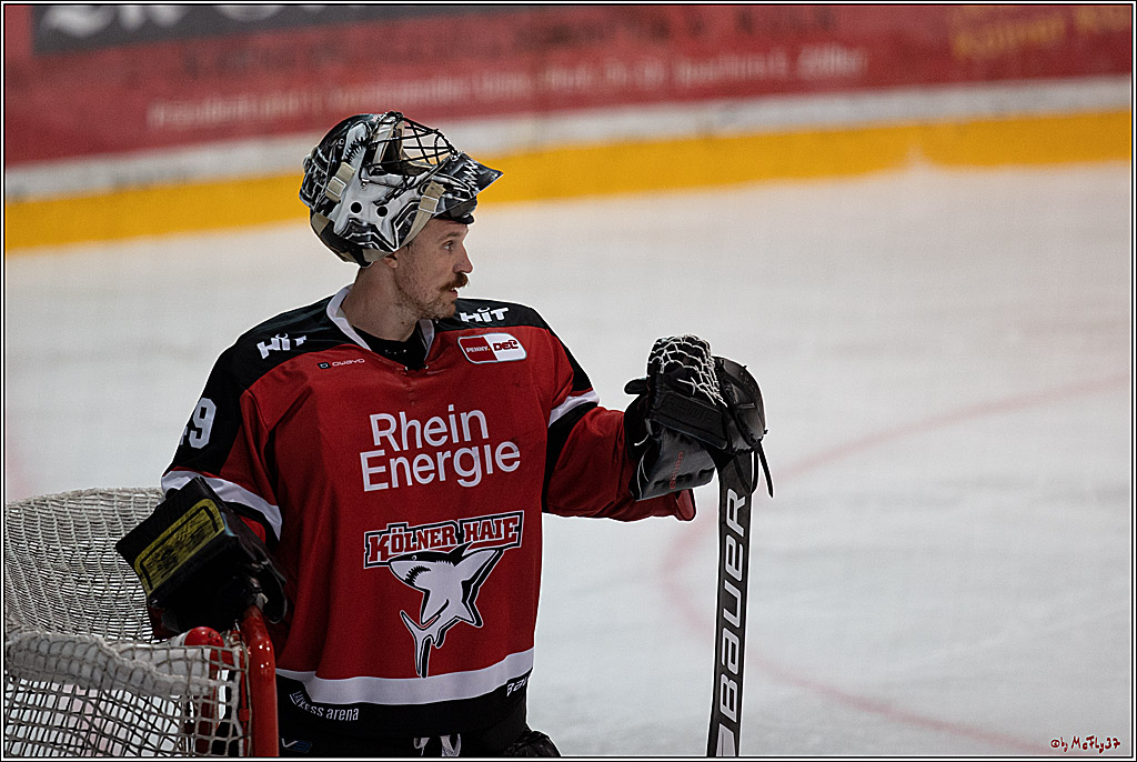 PENNY DEL;  Koelner Haie - Adler Mannheim; Koeln, 19.08.2021